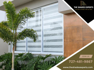 Zebra Blinds Tampa